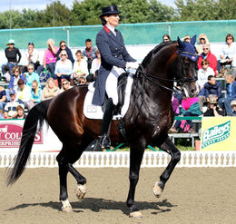 Charlotte Jorst Rides Kastels Nintendo to Personal Best Score to Win Thermal World Cup Grand Prix Freestyle