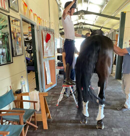 Juan Matute Guimon Back in Saddle Three Months On From Collapse